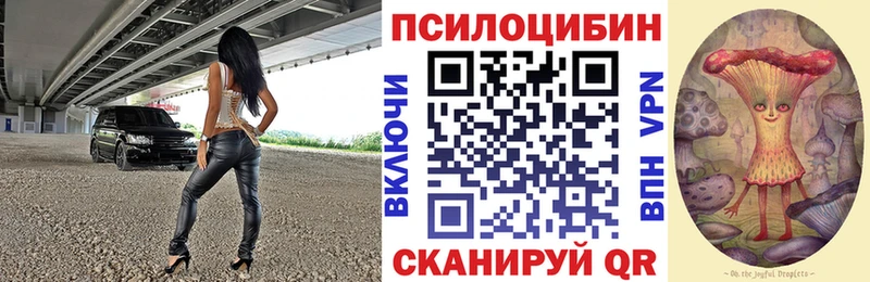 где найти наркотики Североуральск Галлюциногенные грибы мицелий
